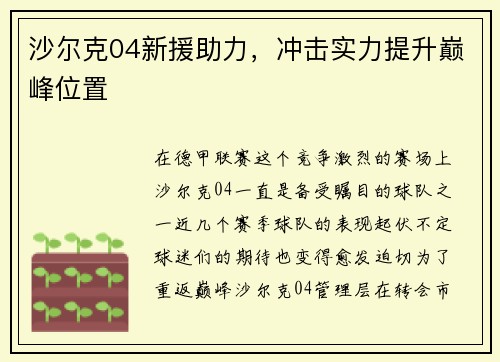 沙尔克04新援助力，冲击实力提升巅峰位置