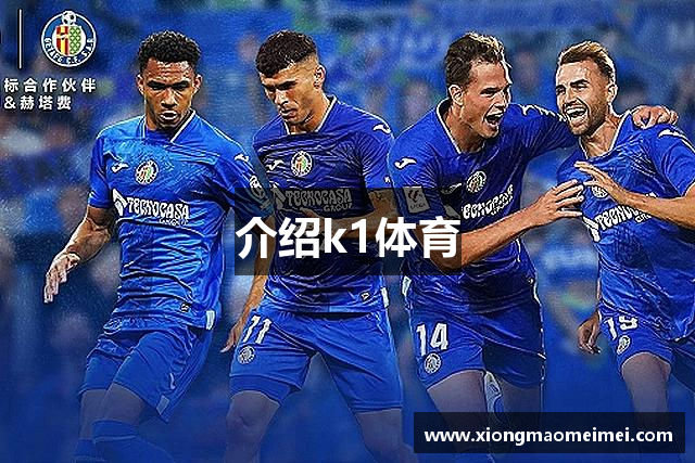 介绍k1体育